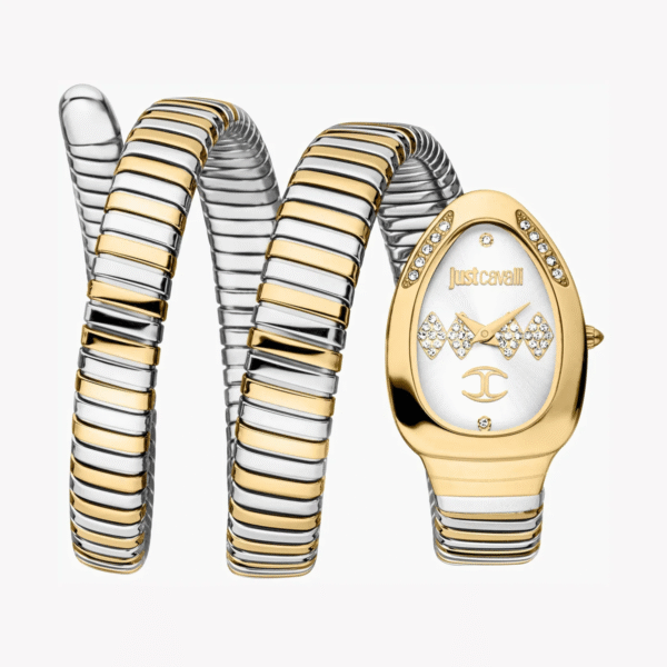 Just Cavalli Vezzoso Watch for Ladies - JC1L230M0065